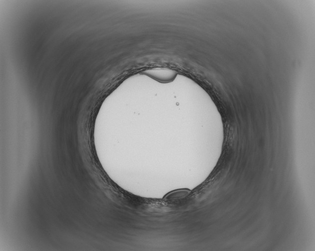 X0000111851489200908131428