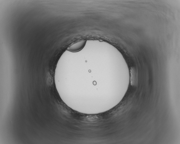 X0000111851491200908131428