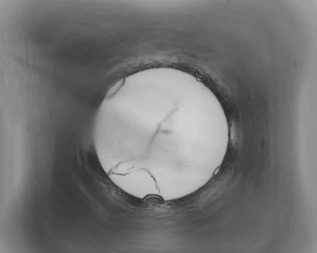 X0000111851492200908131428