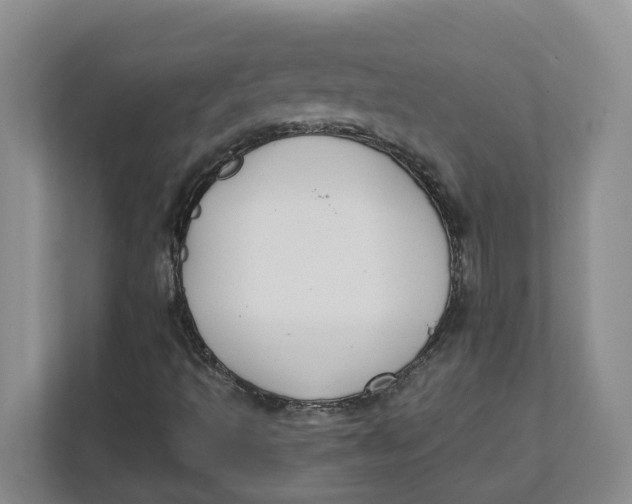 X0000111851493200908131428