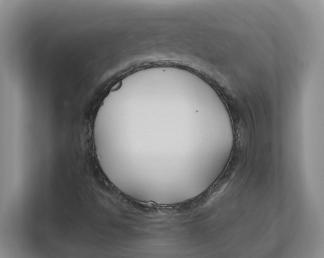 X0000111851494200908131428