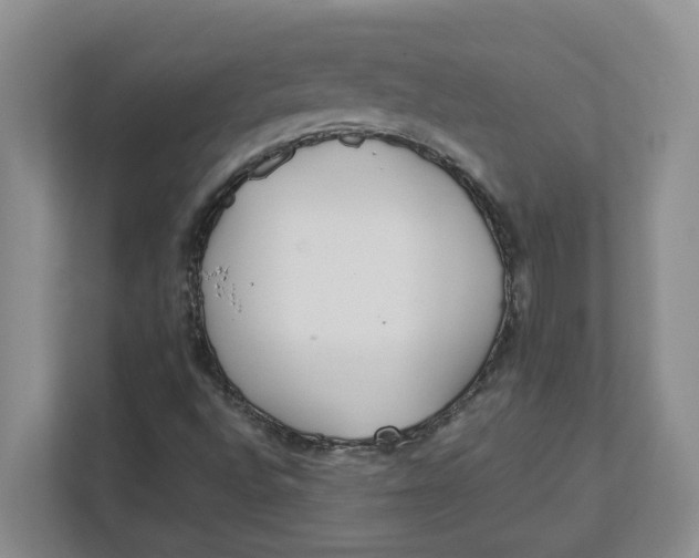 X0000111851496200908131428