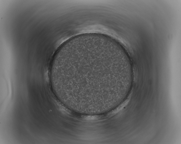 X0000111851497200908131428