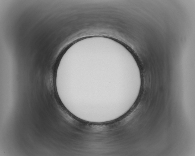 X0000111851498200908131428