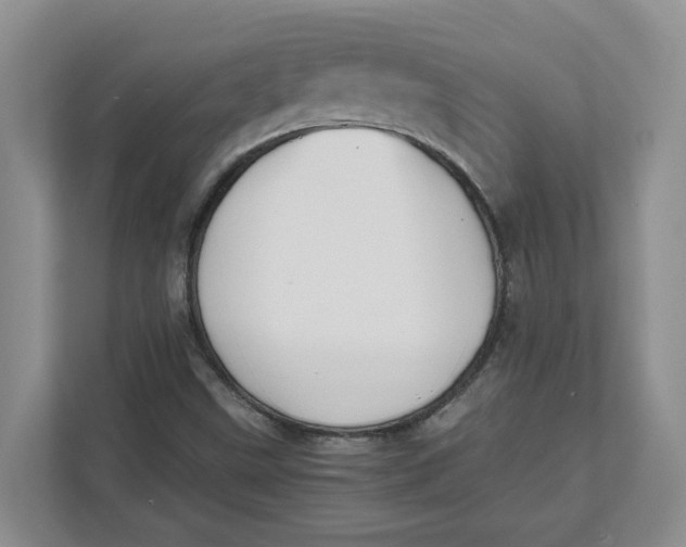 X0000111851499200908131428