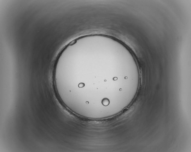 X0000111851500200908131428