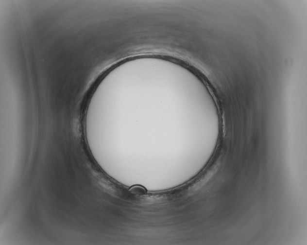 X0000111851501200908131428