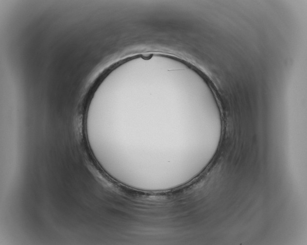 X0000111851503200908131428