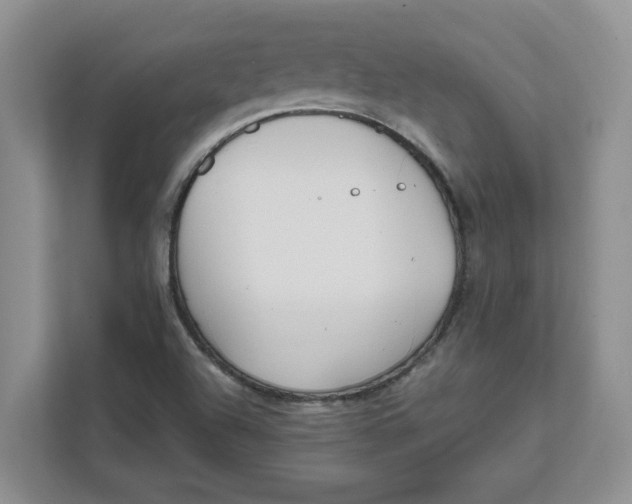 X0000111851504200908131428