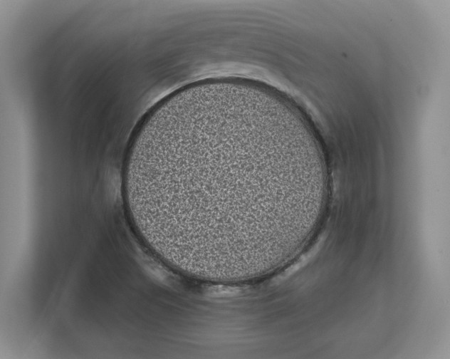 X0000111851505200908131428