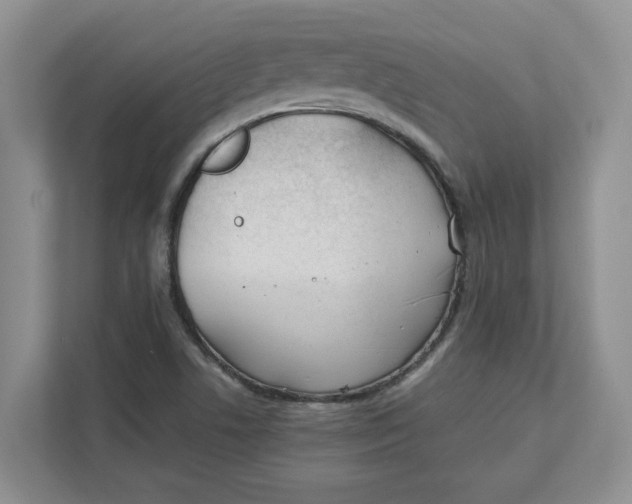 X0000111851506200908131428