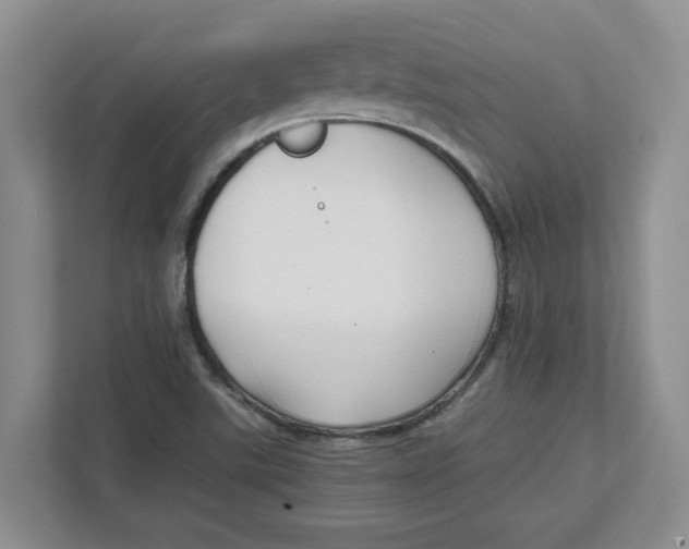 X0000111851507200908131428