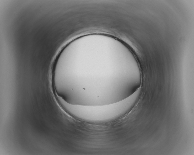 X0000111851508200908131428