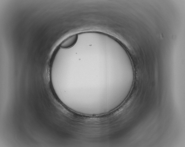 X0000111851510200908131428