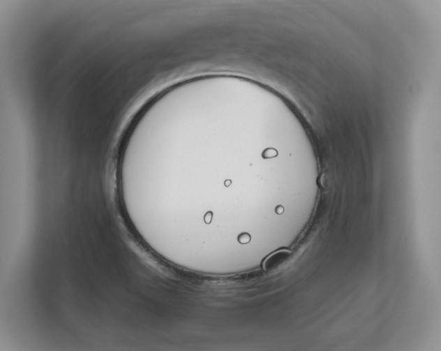 X0000111851511200908131428