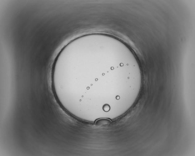 X0000111851512200908131428