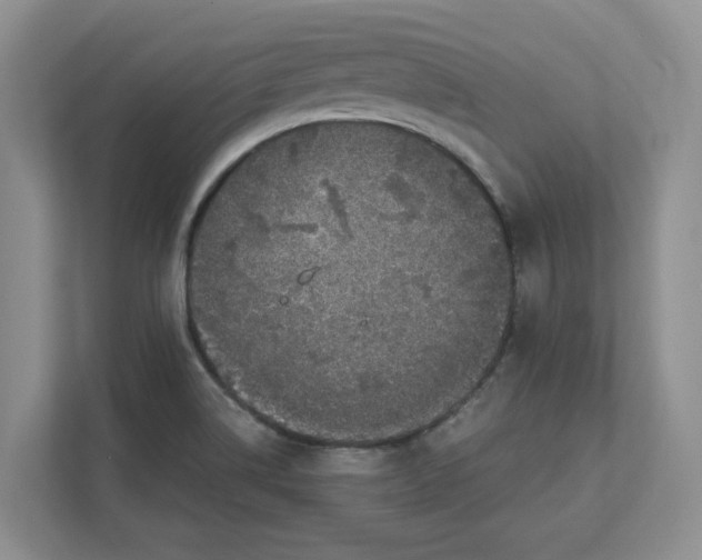 X0000111851514200908131428