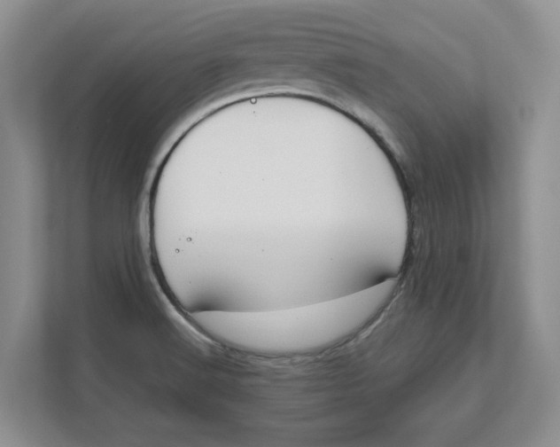 X0000111851516200908131428