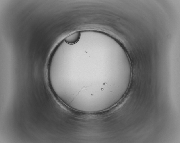 X0000111851517200908131428