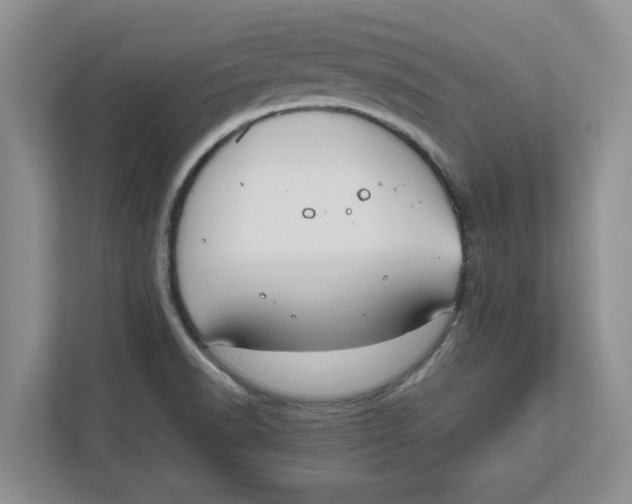 X0000111851518200908131428