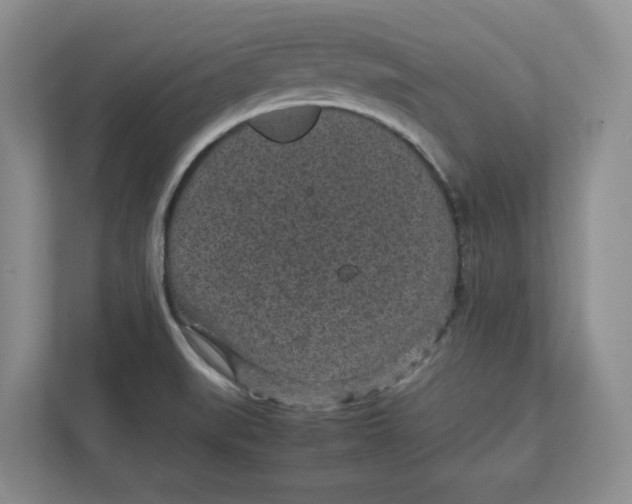 X0000111851519200908131428