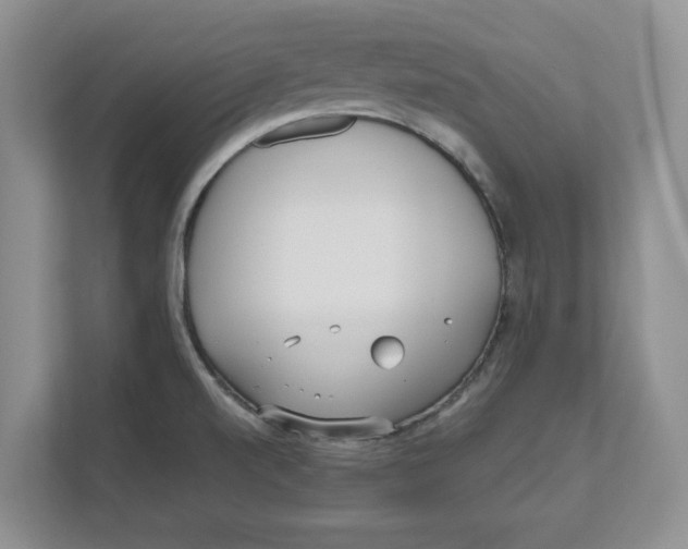 X0000111851520200908131429