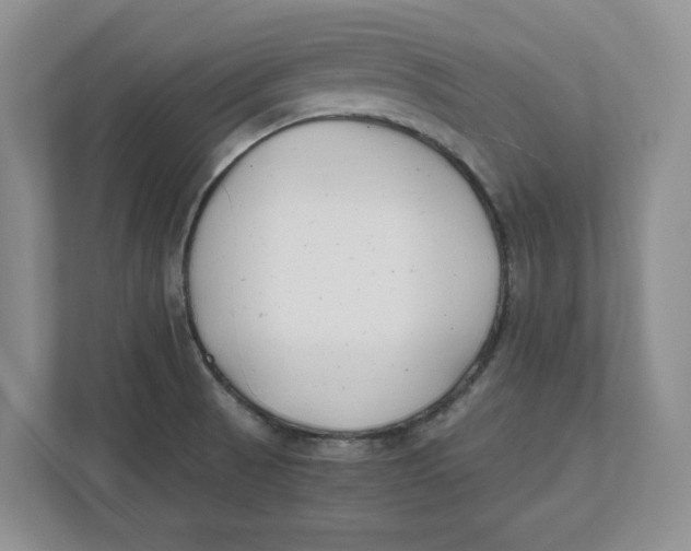 X0000111851521200908131429