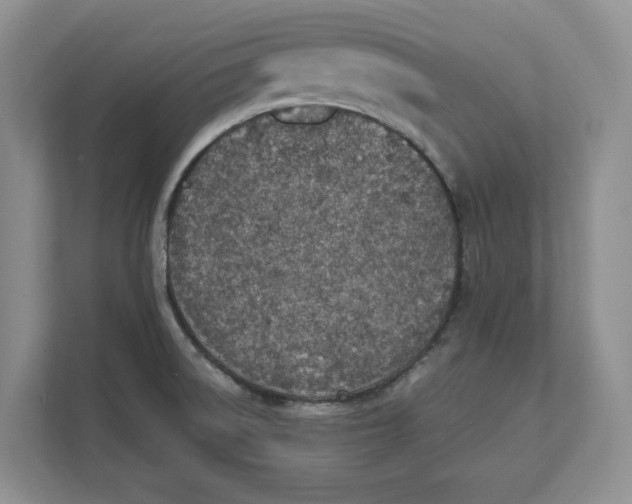 X0000111851522200908131429