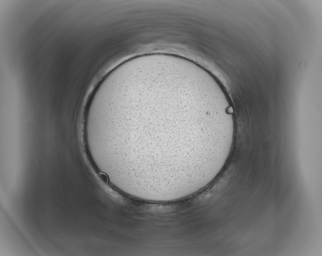 X0000111851525200908131429