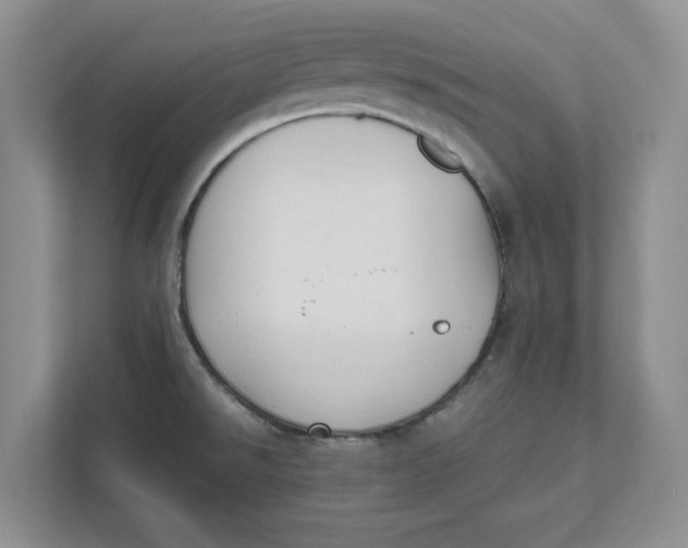 X0000111851526200908131429