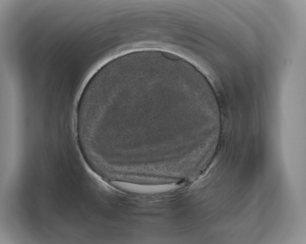 X0000111851527200908131429