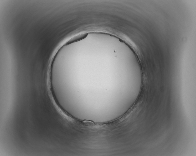 X0000111851528200908131429