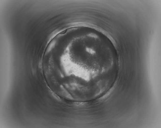 X0000111851529200908131429