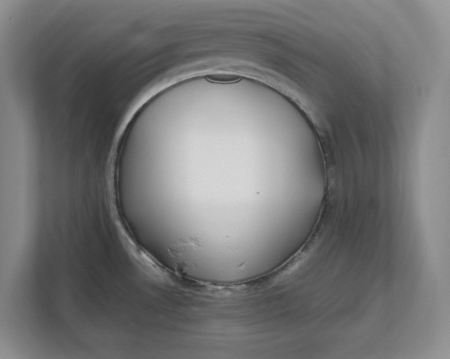 X0000111851530200908131429