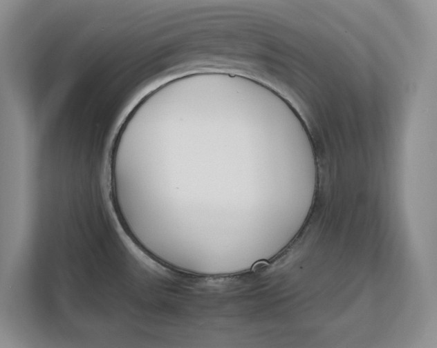 X0000111851531200908131429