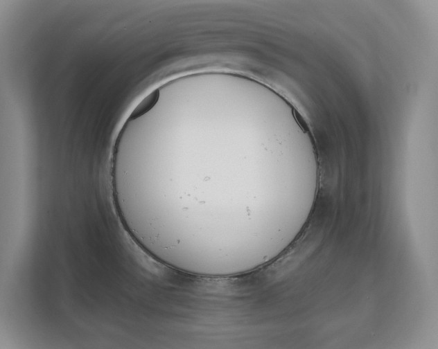 X0000111851532200908131429