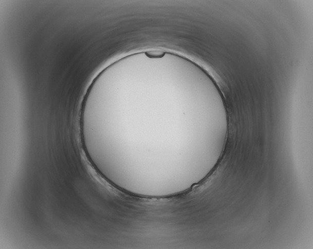 X0000111851534200908131429