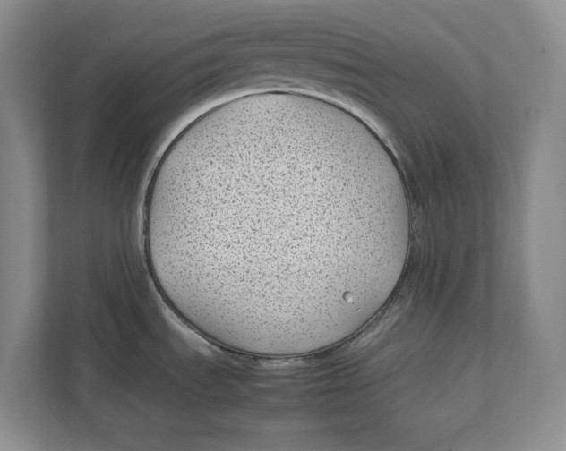 X0000111851535200908131429