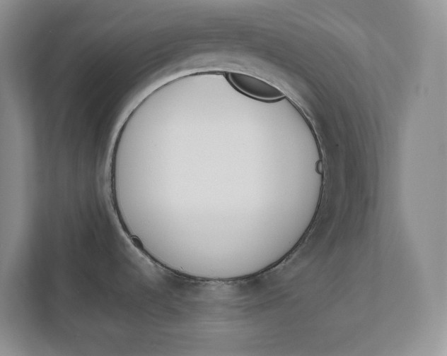 X0000111851536200908131429