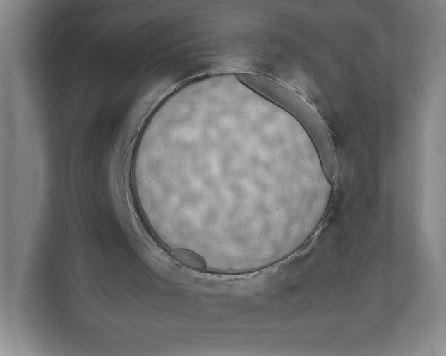 X0000111850001200908201246