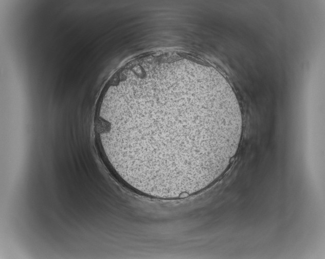 X0000111850002200908201246