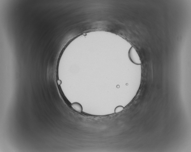 X0000111850003200908201246