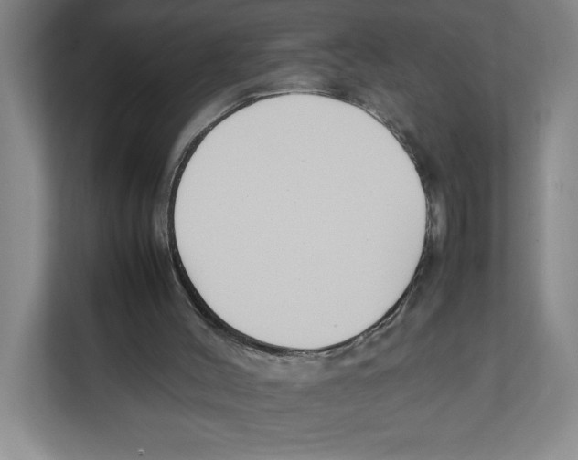 X0000111850004200908201246