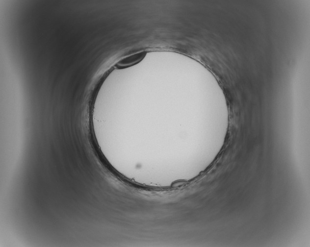 X0000111850005200908201246