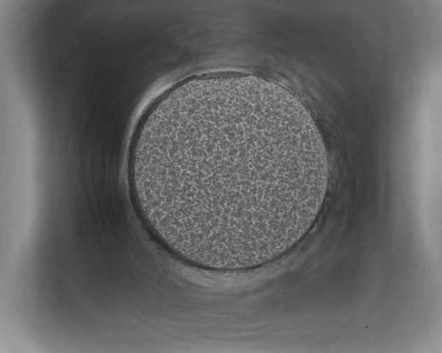 X0000111850006200908201246