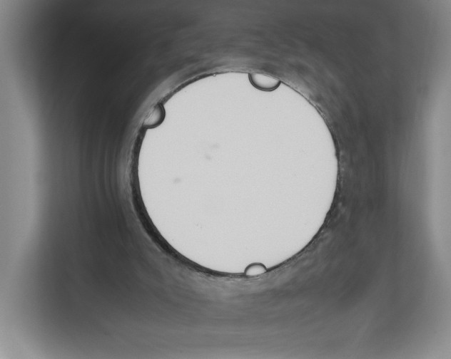 X0000111850007200908201246