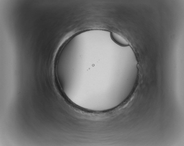 X0000111850008200908201246