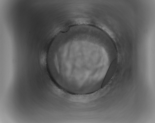 X0000111850009200908201246