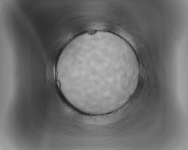 X0000111850013200908201246