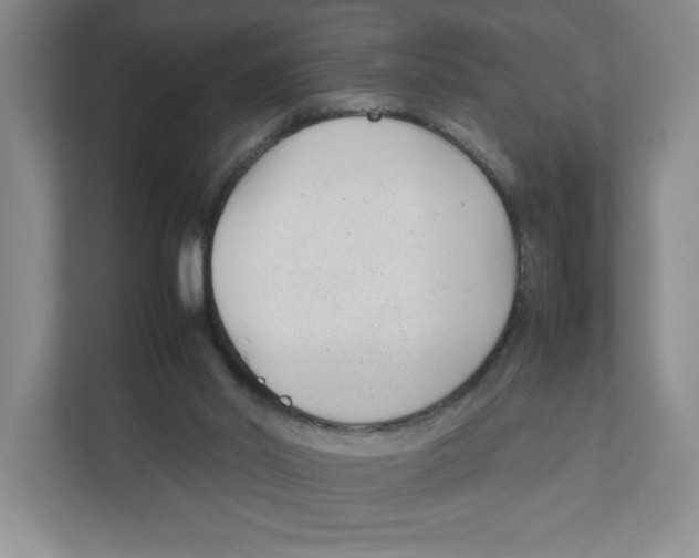 X0000111850014200908201246